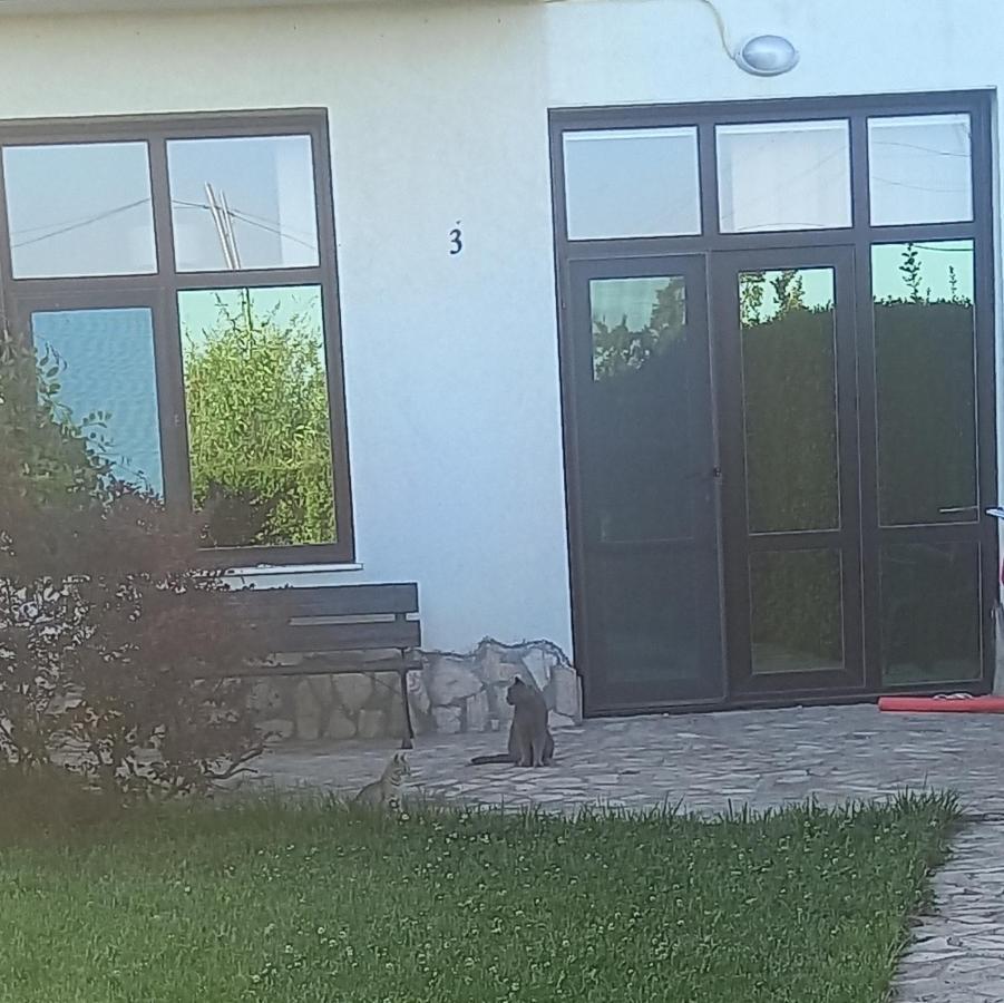Villa Ketli Apartment Bliznatsi Exteriör bild